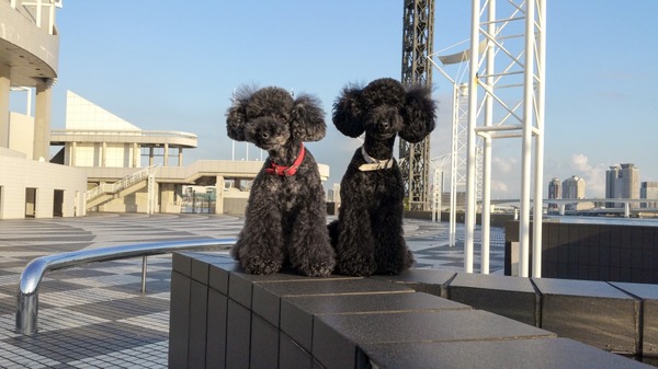 2015091420150911_165728