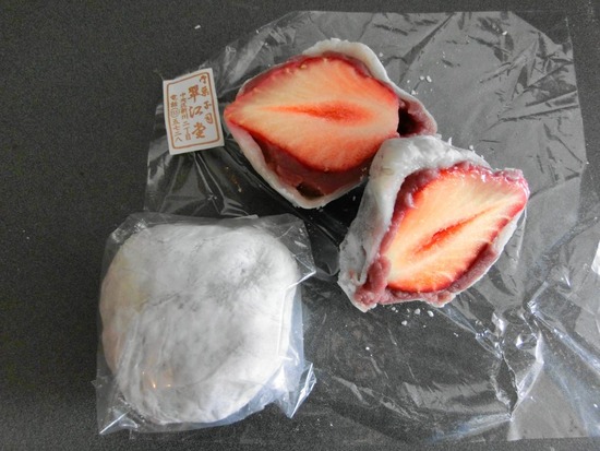 as know as de wan トイプードル 銀座リリー22