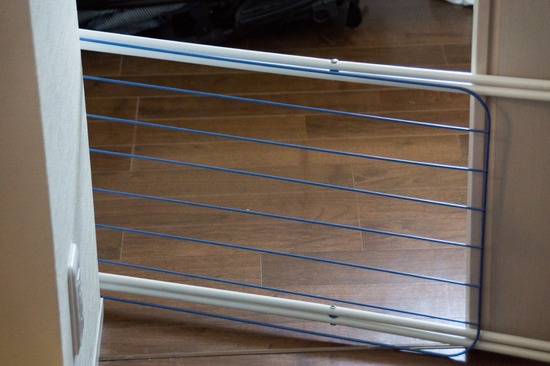 411 銀座ブラックのトイプードルリリーとドナas know as de wan00