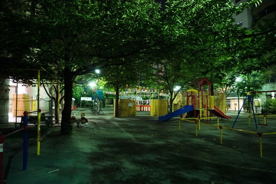 ニャンバーワン,銀座トイプードル,リリーとドナ,asknowasdewan01