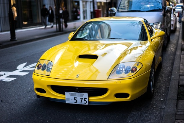 20151225ブラックトイプードル銀座リリー＆ドナ27