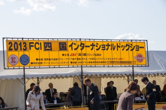 421 銀座ブラックのトイプードルリリーとドナas know as de wan22