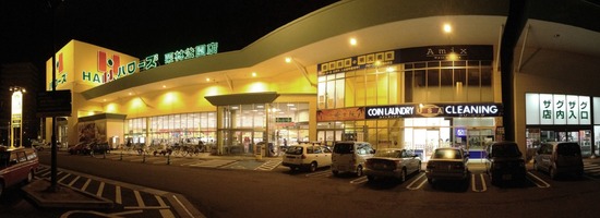 銀座トイプードルリリーとドナas know as de wan08