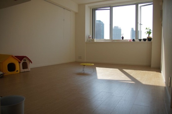 as know as de wan トイプードル 銀座リリー00