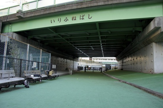 as know as de wan トイプードル 銀座リリー04