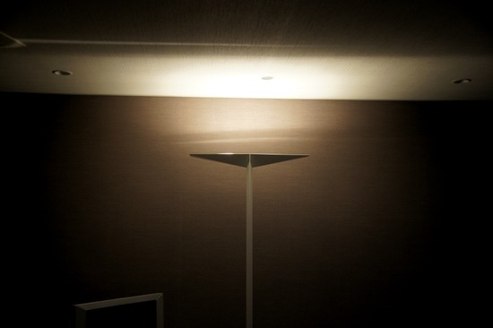 as know as de wan トイプードル 銀座リリー01