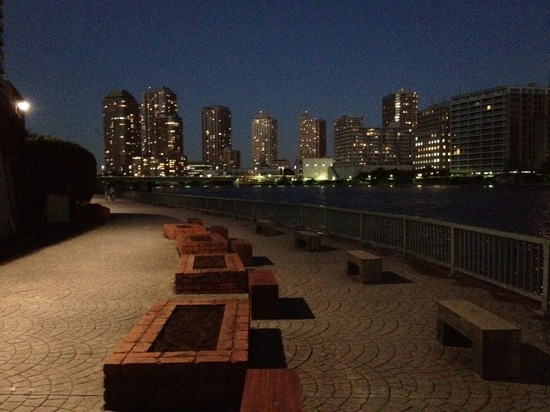 as know as de wanとトイプードルブラックの銀座リリー03