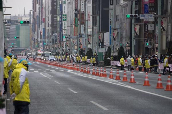 トイプードル銀座リリー010