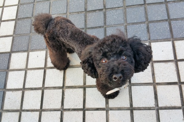 2015091420150911_170303