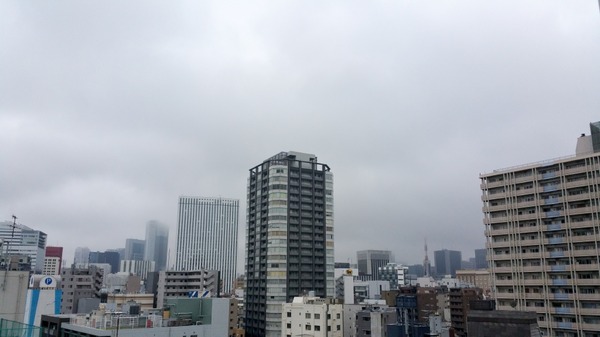 20150925トイプードル銀座リリー06