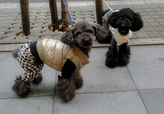 WP_20140105_15_50_34_Pro