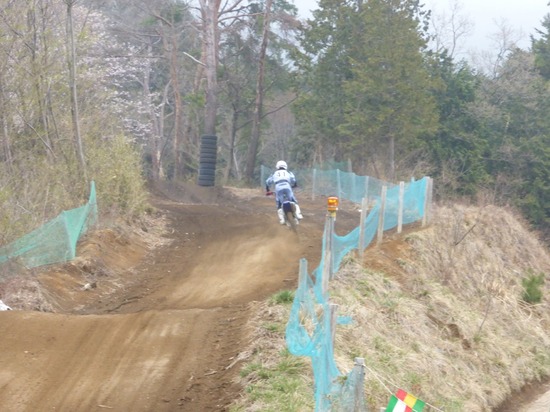 406 銀座ブラックのトイプードルリリーとドナas know as de wan15