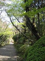 大原野神社