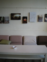 photos