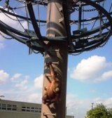 北海道 旭山動物園 オラウータン