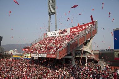 carp