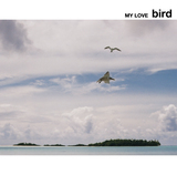 bird ジャケ
