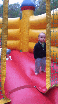 anigif