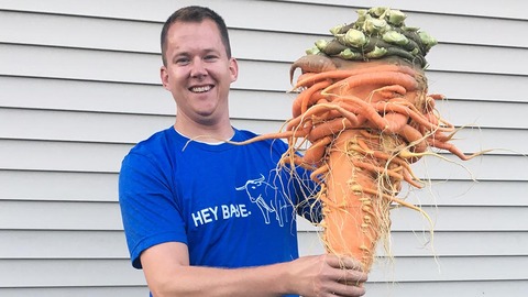 Heaviest-carrot_tcm25-497103