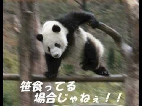 hqdefault