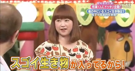 201504141513119ff