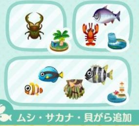 キャプチャ