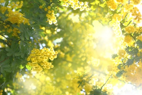 0fc79d6e7f68ce0b5337096a2c9e5785_s