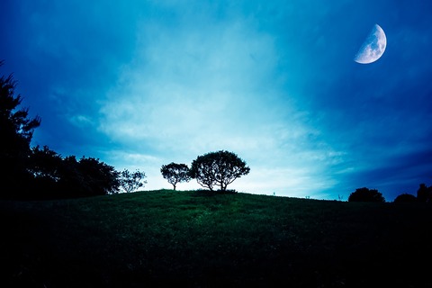 HIRO92_tukinomieruoka500