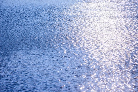 -shared-img-thumb-TSU16022816_TP_V