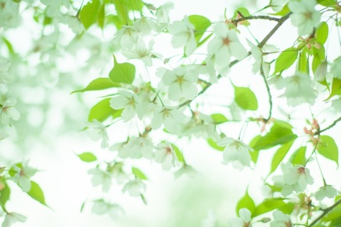 f1e738dbfedd2d7b08f574f8149b6a87_s