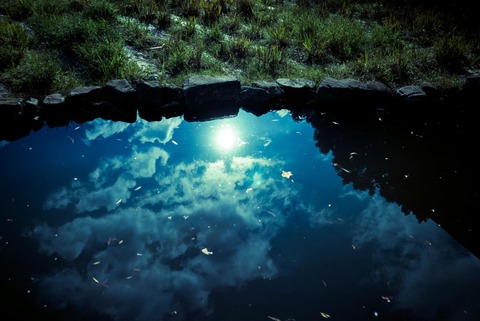 -shared-img-thumb-P1020522_TP_V