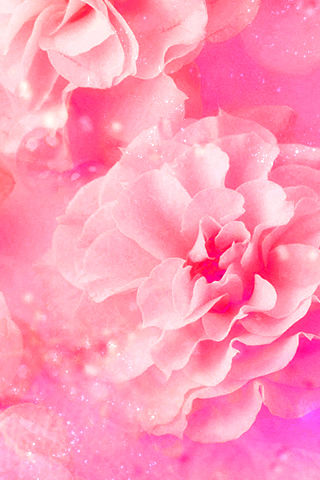 moblog_6d2e4cbe