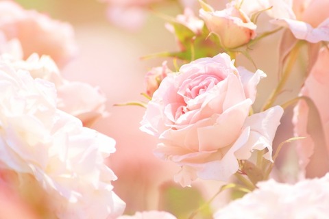 47ed3cd8be8711dbbaf6a2cf576c397d_s