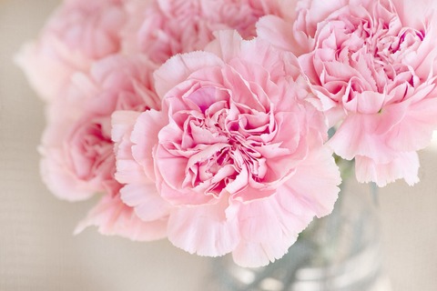 flowers-1325012_1920