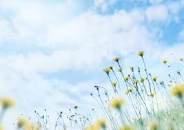 images (1)