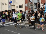 9095503d.jpg