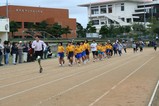 a01d799d.jpg
