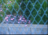 街のカケラ14