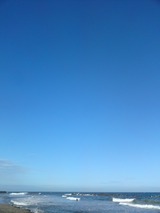 40dee94c.jpg