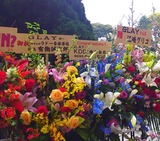 08f73157.jpg