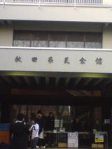 akita2