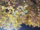 01e687f6.jpg