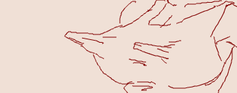 1445157257144