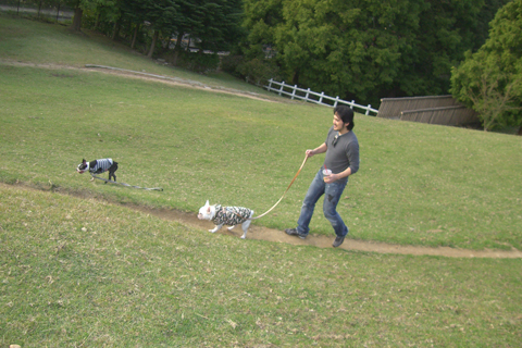 081107_0001_レイヤー 13