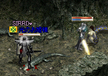 同伴(*ノノ)