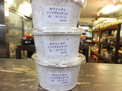 インドグランホワイト