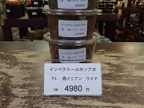 インペラ