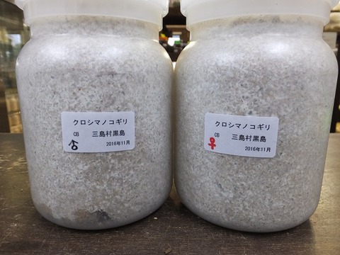 クロシマノコ