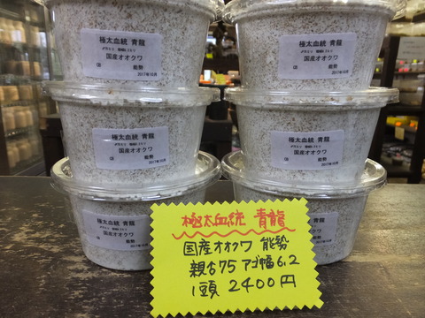 DSCF6643