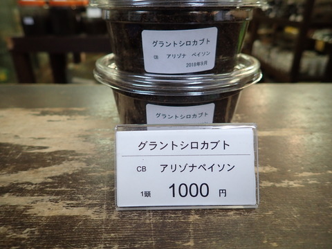 グラシロ